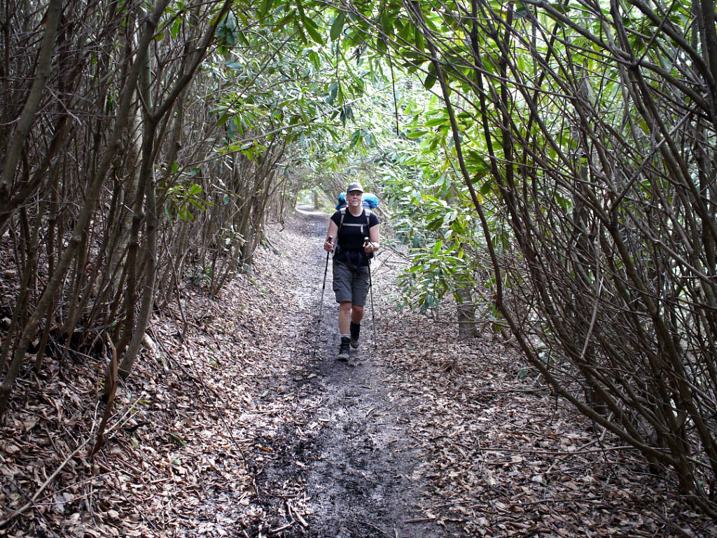 Appalachian Trail: 19. Von Gatlinburg nach Hot Springs