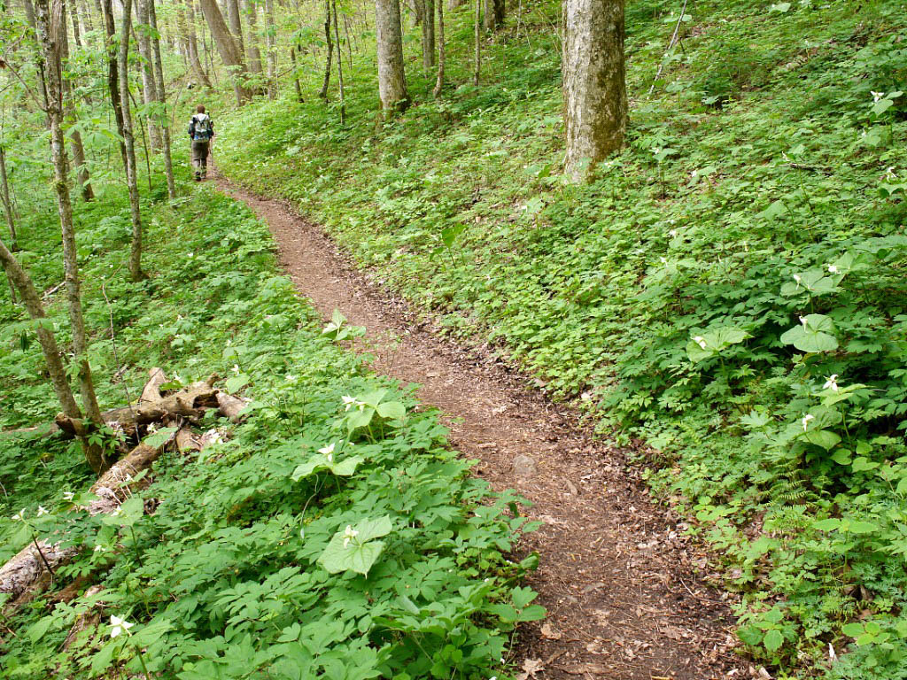 Appalachian Trail: 19. Von Gatlinburg nach Hot Springs