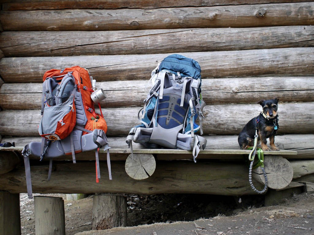 Appalachian Trail: 19. Von Gatlinburg nach Hot Springs