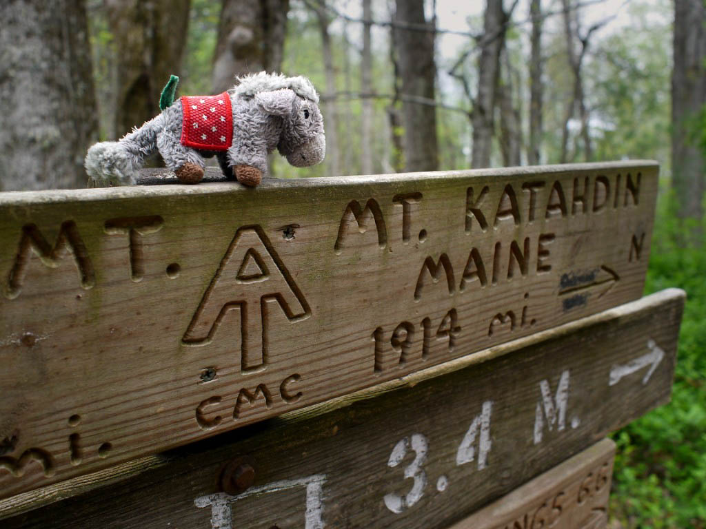 Appalachian Trail: 19. Von Gatlinburg nach Hot Springs