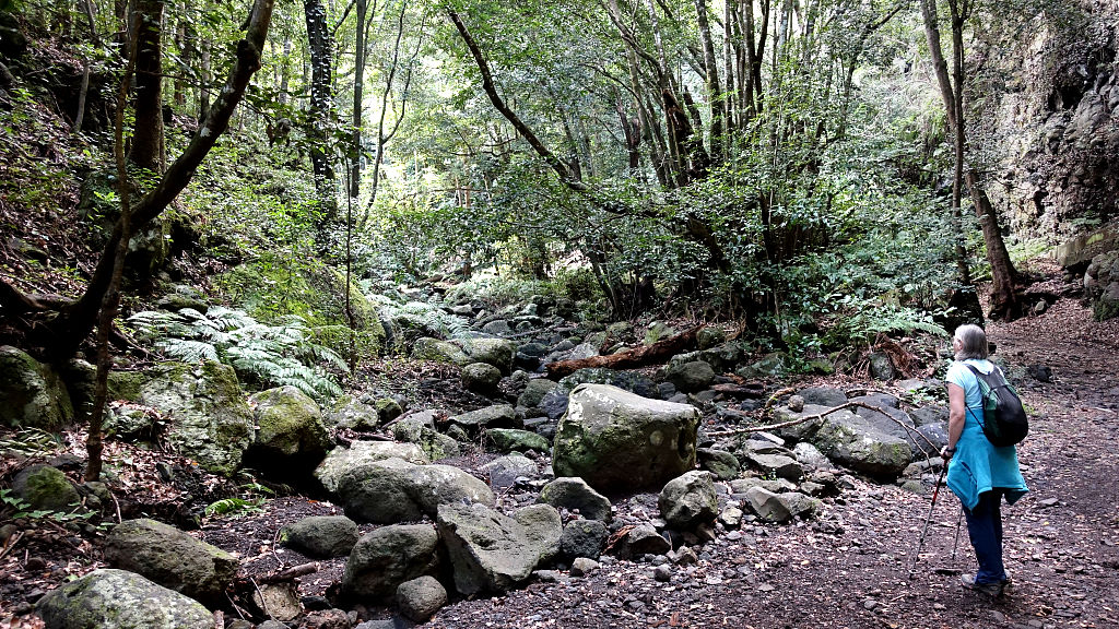 La Palma: 2. Cubo de la Galga