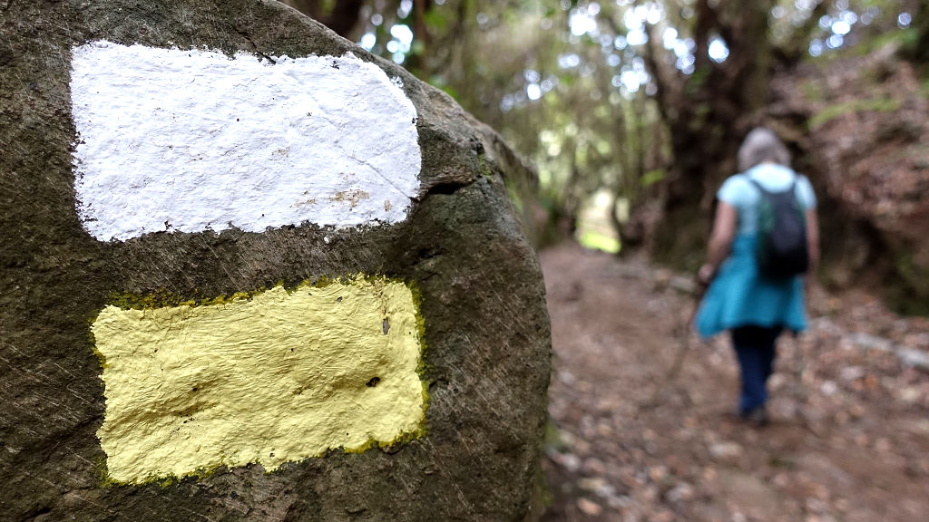 La Palma: 2. Cubo de la Galga