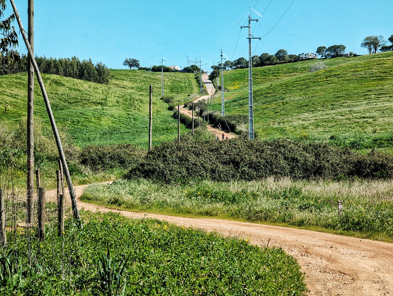 Historischer Weg: 9. Von Cercal do Alentejo nach Monte das Eguas