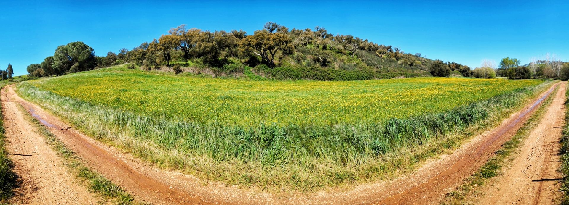 Historischer Weg: 9. Von Cercal do Alentejo nach Monte das Eguas
