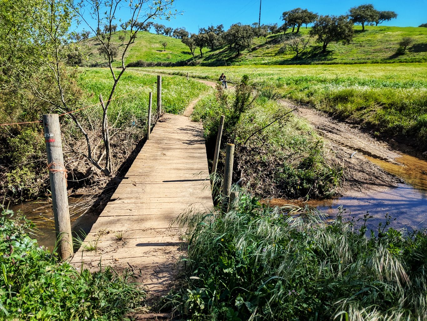 Historischer Weg: 9. Von Cercal do Alentejo nach Monte das Eguas