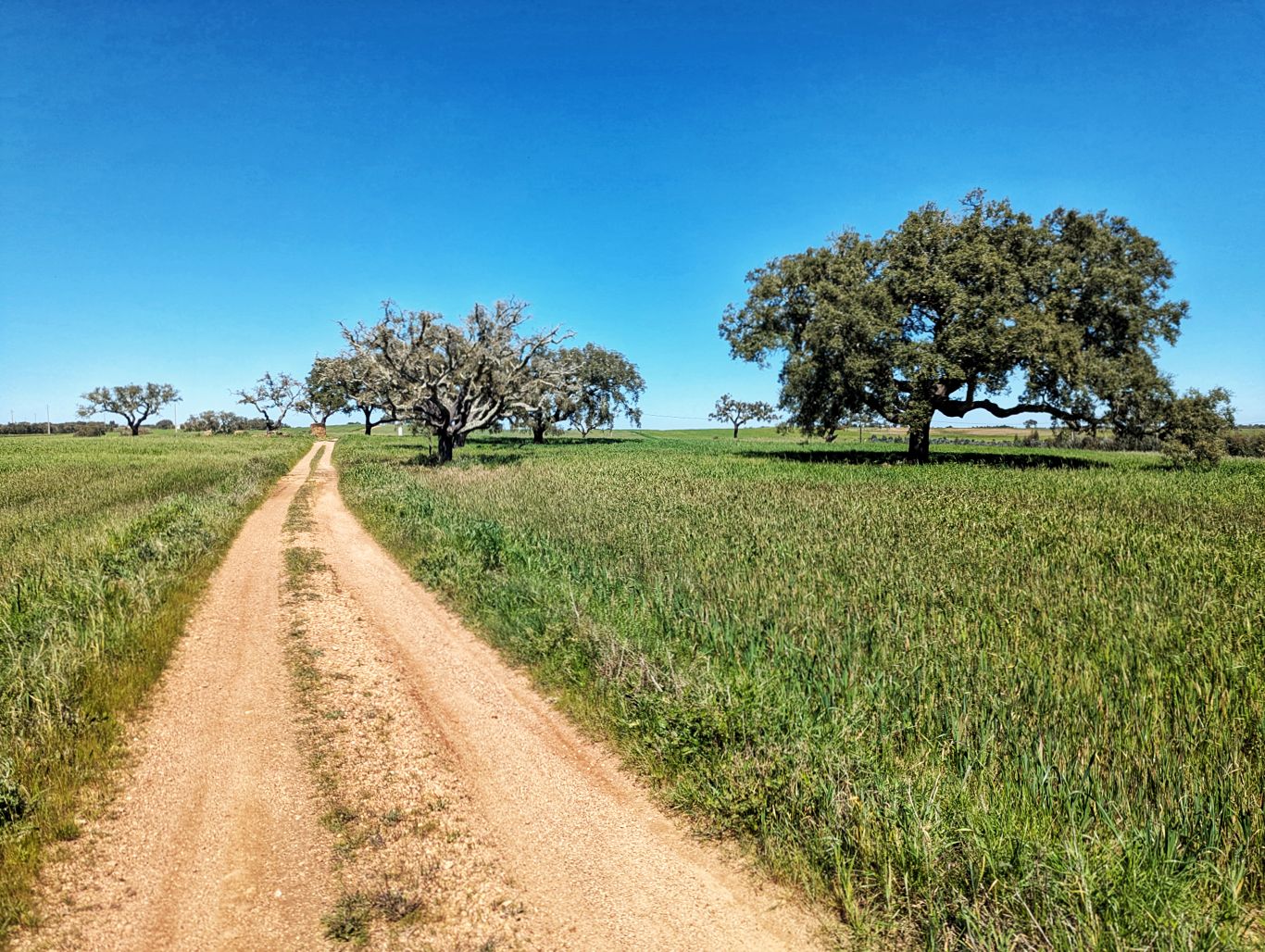 Historischer Weg: 9. Von Cercal do Alentejo nach Monte das Eguas