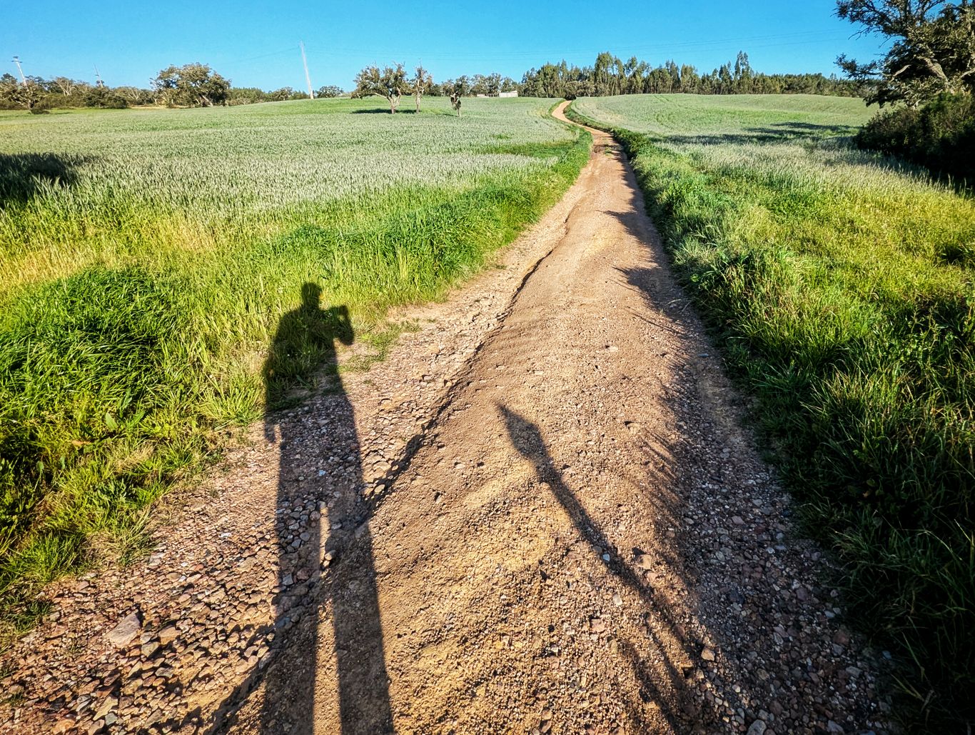 Historischer Weg: 10. Von Monte das Eguas nach Santiago do Cacem