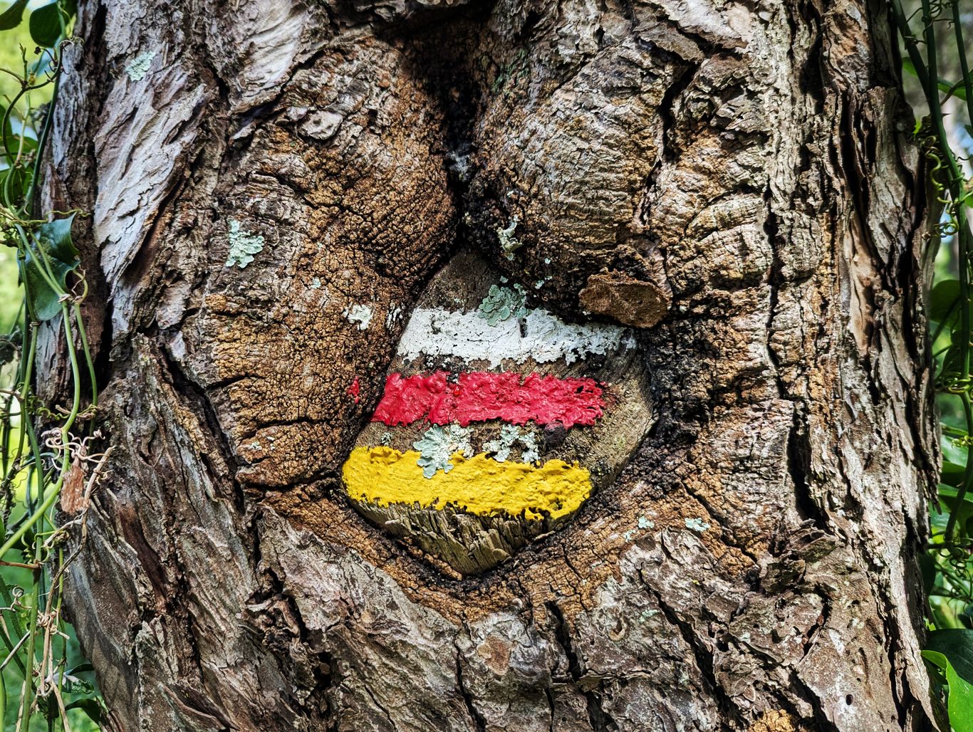 Historischer Weg: 10. Von Monte das Eguas nach Santiago do Cacem