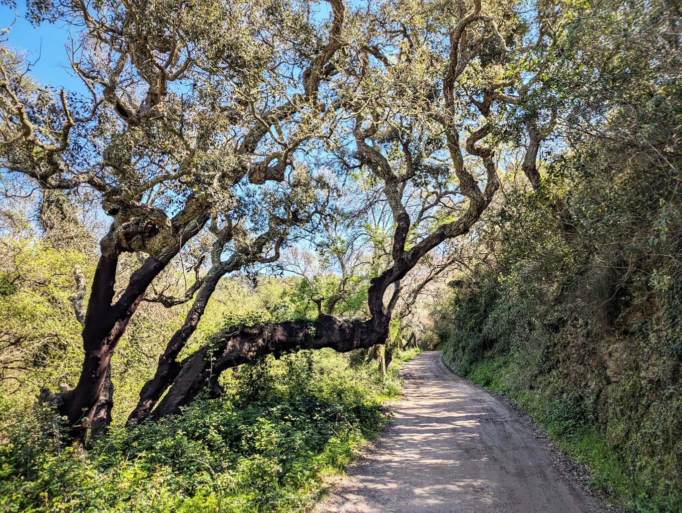 Historischer Weg: 7. Von Odemira nach Sao Luis