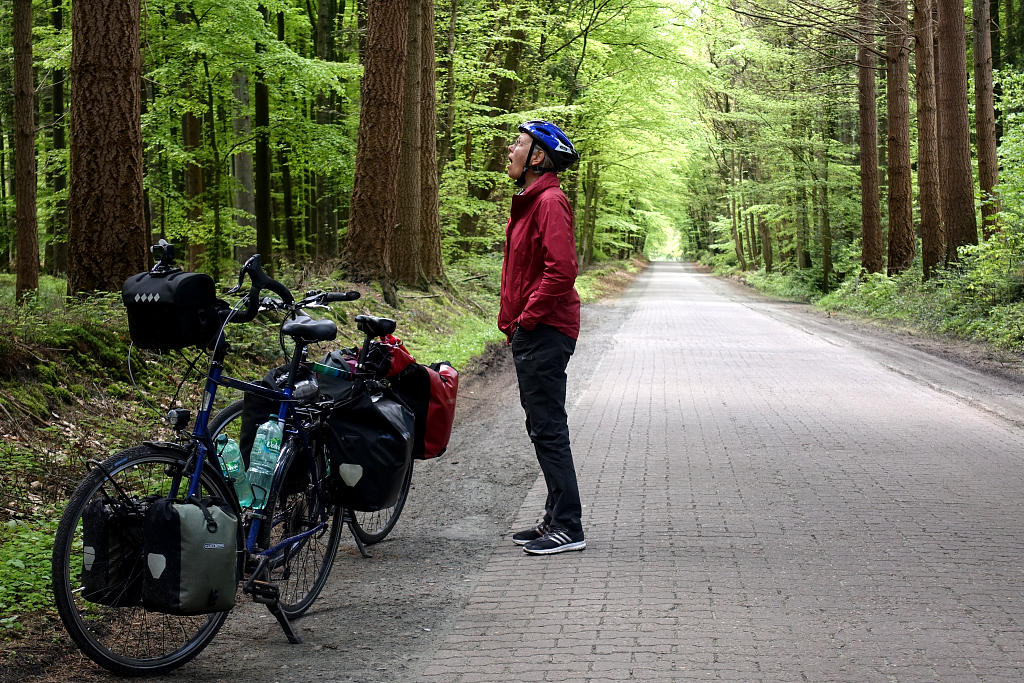 Radwanderung: 2. Von Ostfriesland zur Elbe