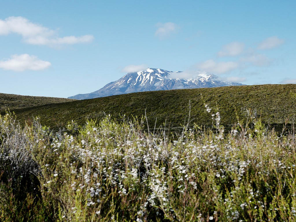 Te Araroa: 10. Von Taumarunui nach Whanganui