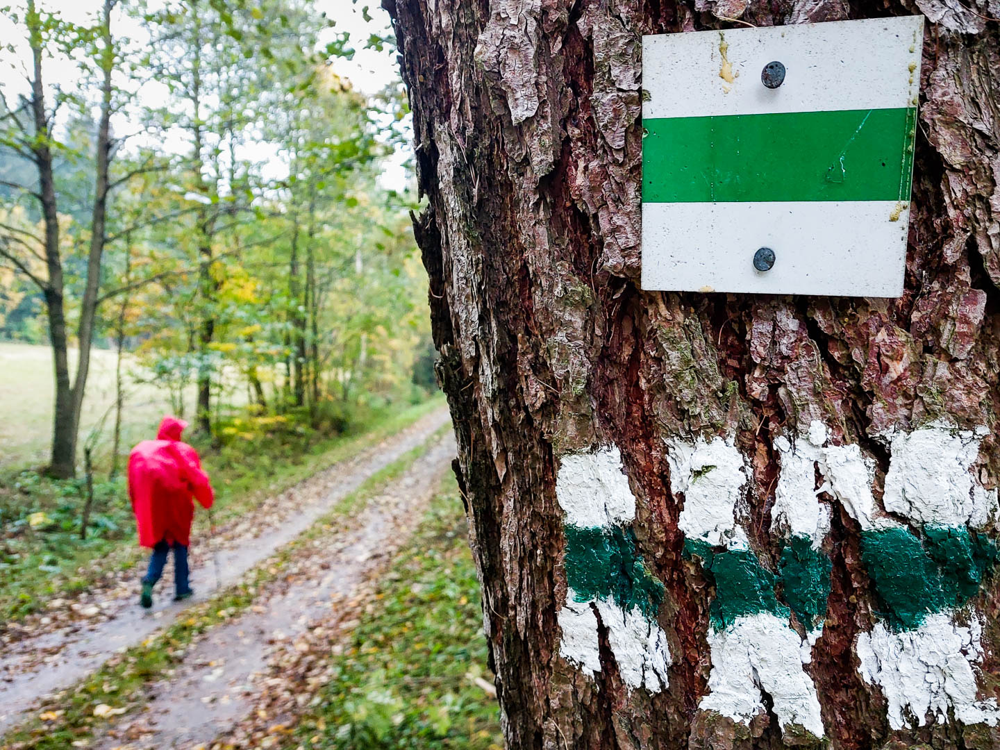 Neun Tage Wandern: Zschopautal und Kammweg Erzgebirge