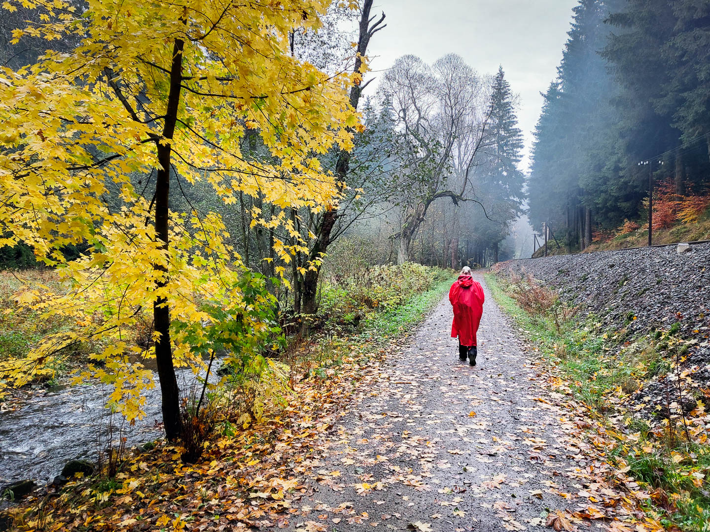 Neun Tage Wandern: Zschopautal und Kammweg Erzgebirge